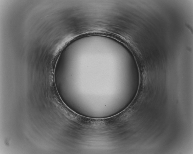 X0000103151363200809051628