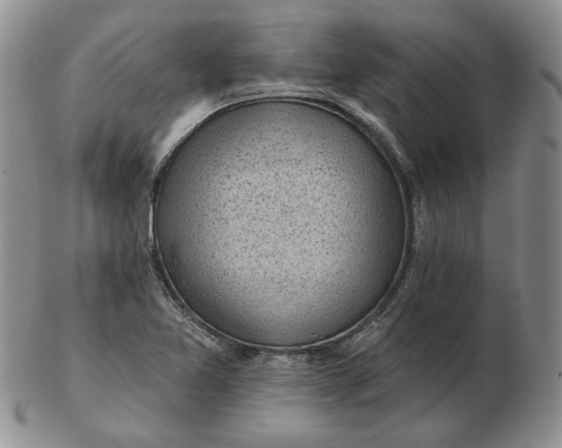 X0000103151365200809051628