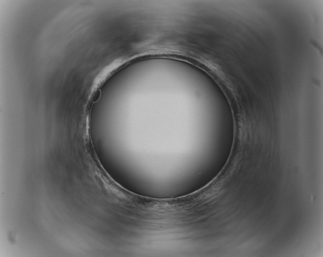 X0000103151366200809051628