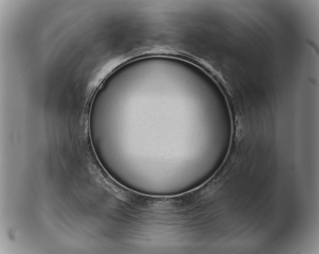 X0000103151367200809051628