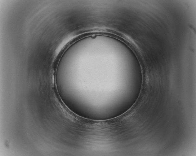 X0000103151368200809051628