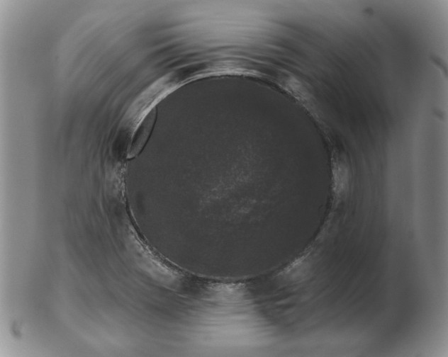 X0000103151369200809051627