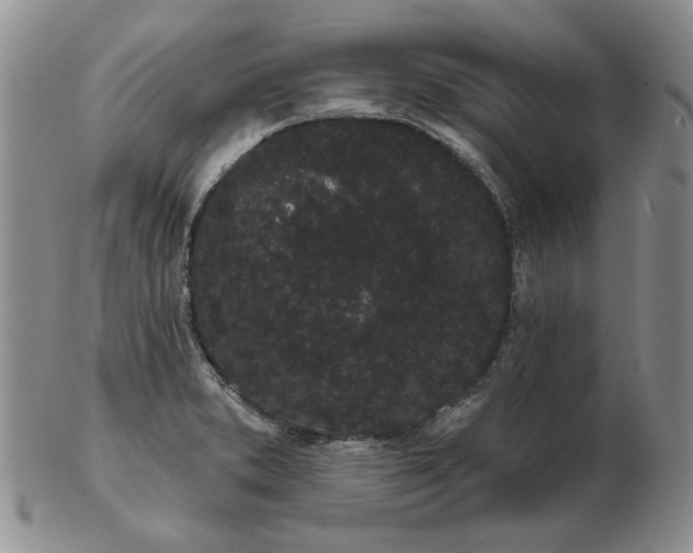 X0000103151373200809051627