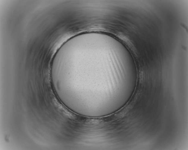 X0000103151374200809051627