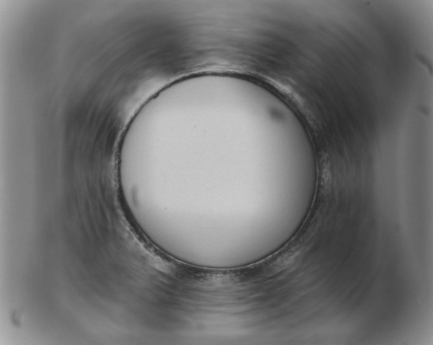 X0000103151375200809051627