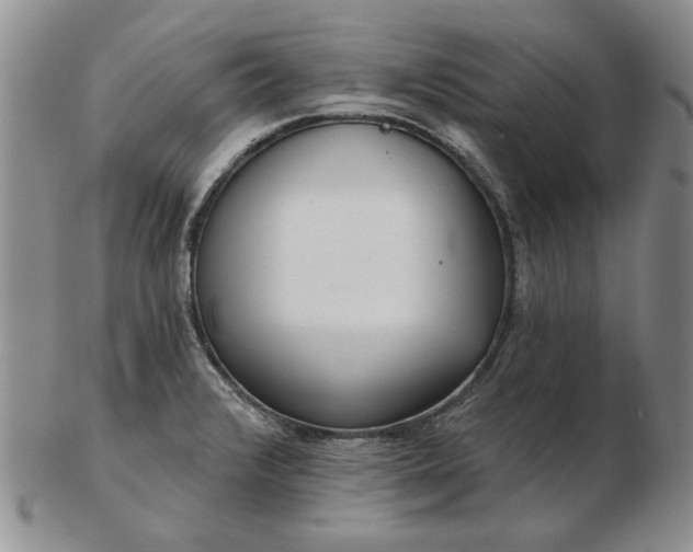 X0000103151376200809051627