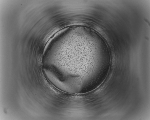 X0000103151377200809051627