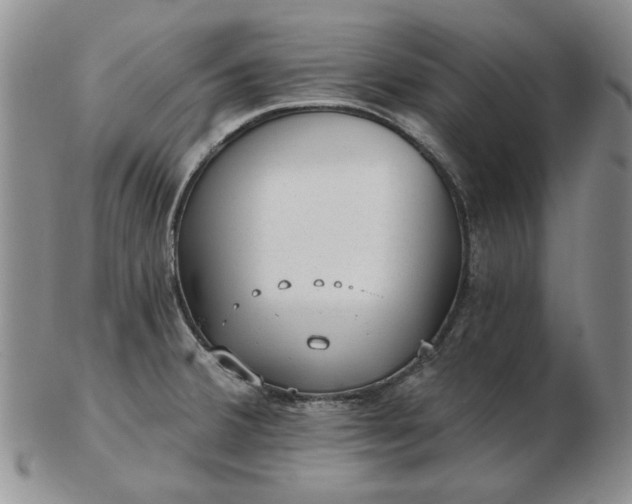 X0000103151380200809051627