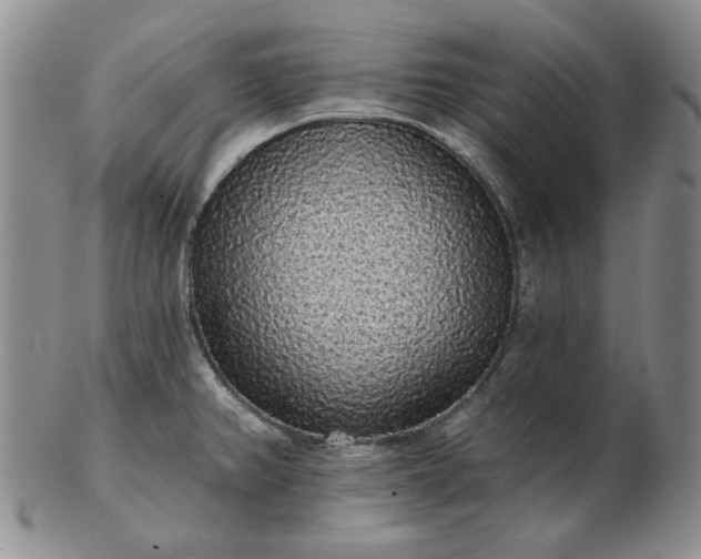 X0000103151382200809051627