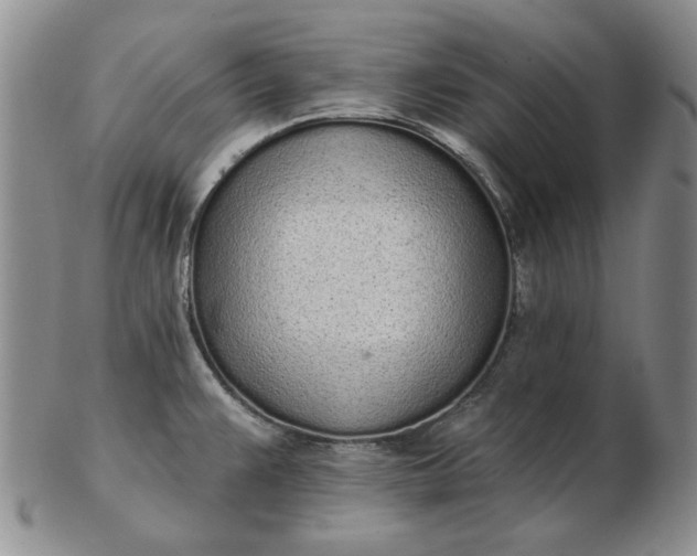 X0000103151383200809051627