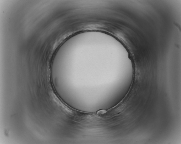 X0000103151384200809051627