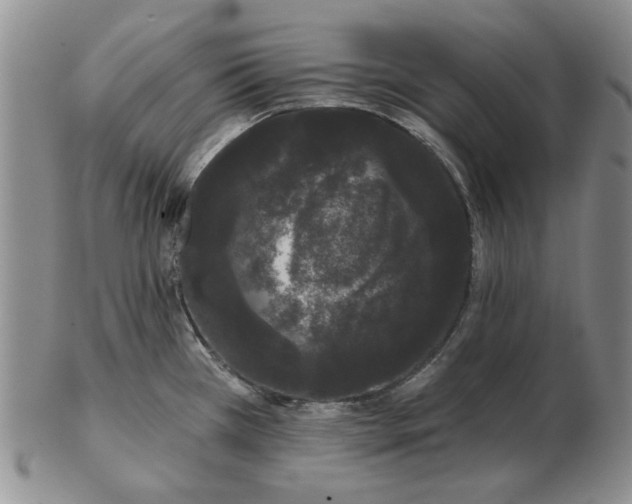 X0000103151385200809051627