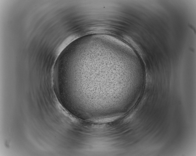 X0000103151386200809051627