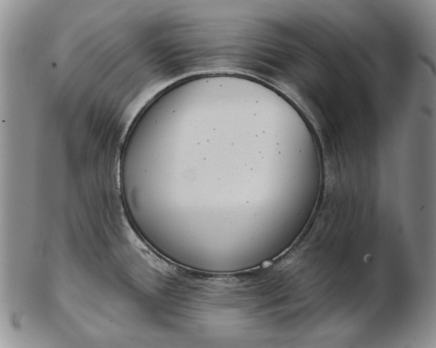 X0000103151388200809051627