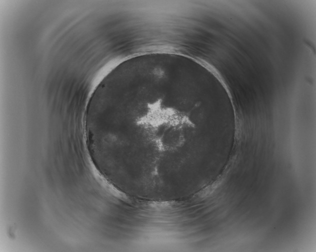 X0000103151389200809051627