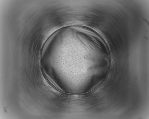 X0000103151390200809051627