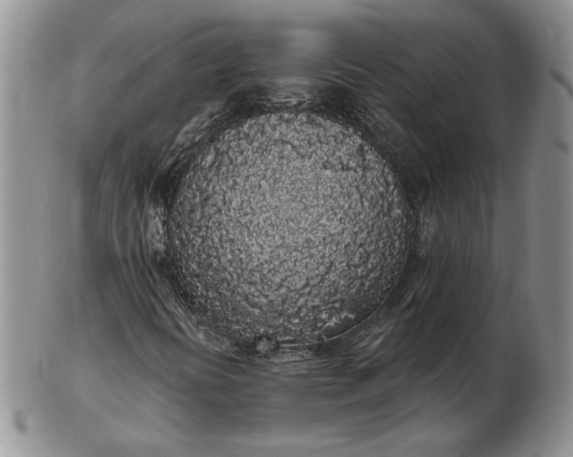 X0000103151394200809051627