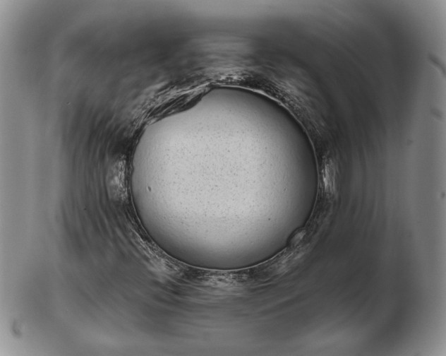 X0000103151396200809051627