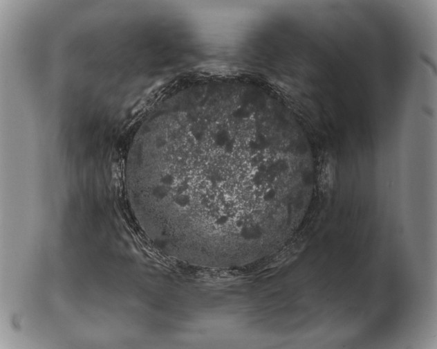 X0000103151397200809051627