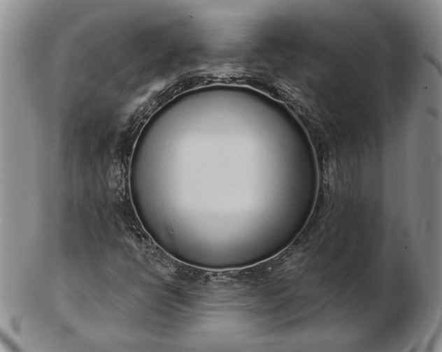 X0000103151398200809051627