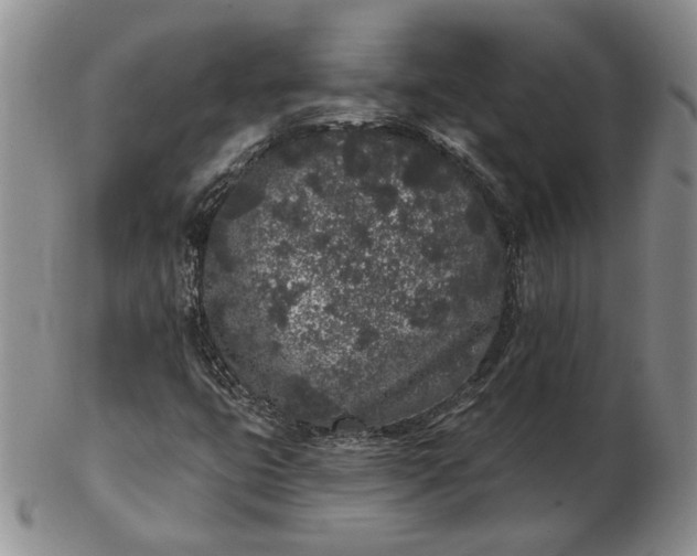 X0000103151399200809051627