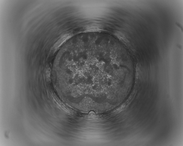 X0000103151401200809051627