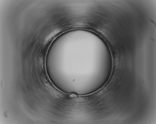 X0000103151402200809051627