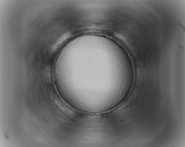 X0000103151403200809051627