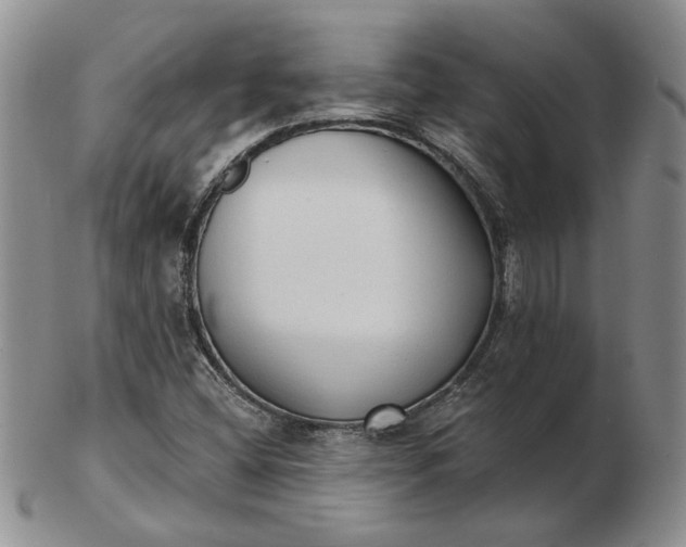 X0000103151404200809051627