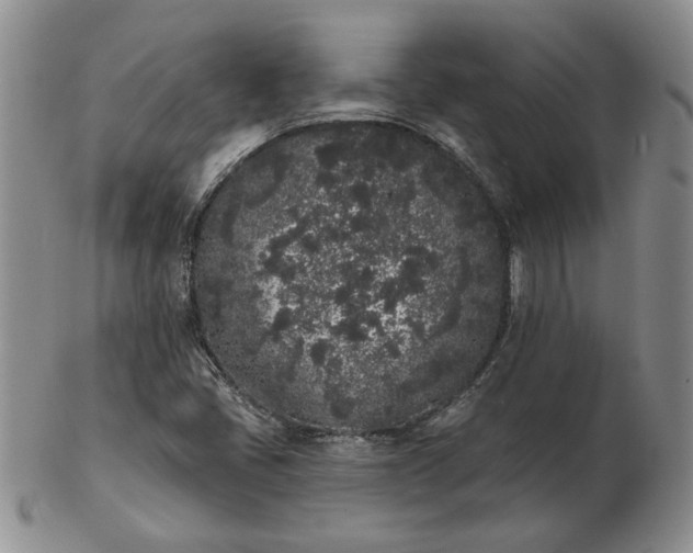 X0000103151405200809051627