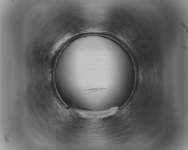 X0000103151406200809051627