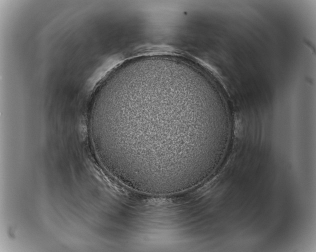 X0000103151407200809051627