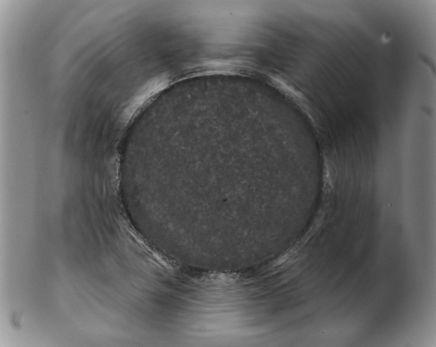 X0000103151411200809051627