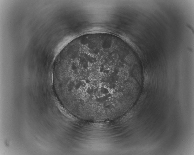 X0000103151413200809051627