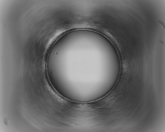 X0000103151416200809051627