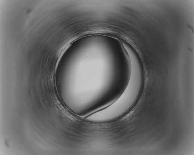 X0000103151417200809051627