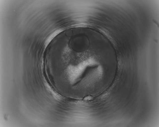 X0000103151418200809051627