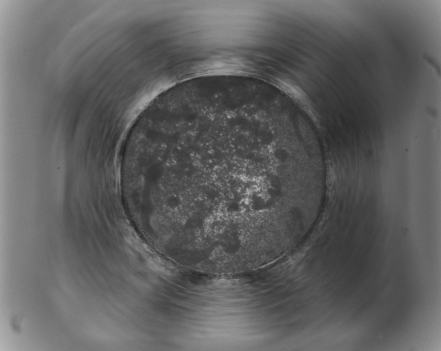 X0000103151419200809051627