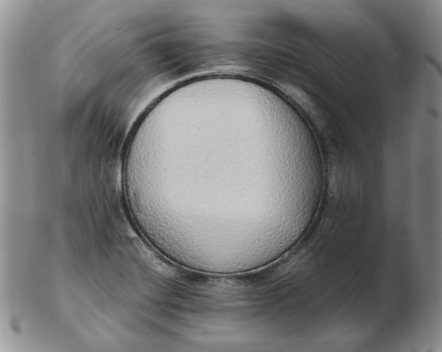 X0000103151420200809051627