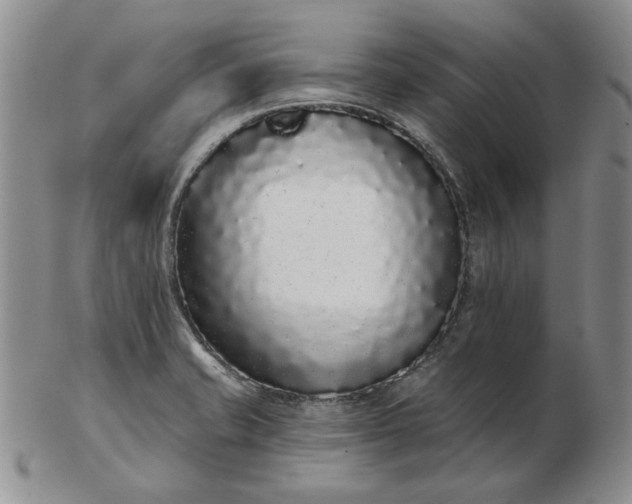 X0000103151421200809051627