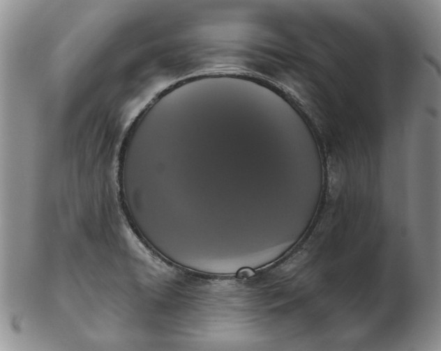 X0000103151422200809051627