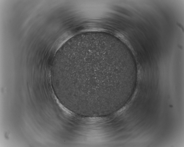 X0000103151425200809051627