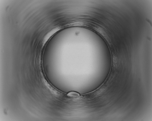 X0000103151426200809051627