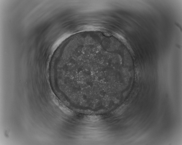 X0000103151427200809051627