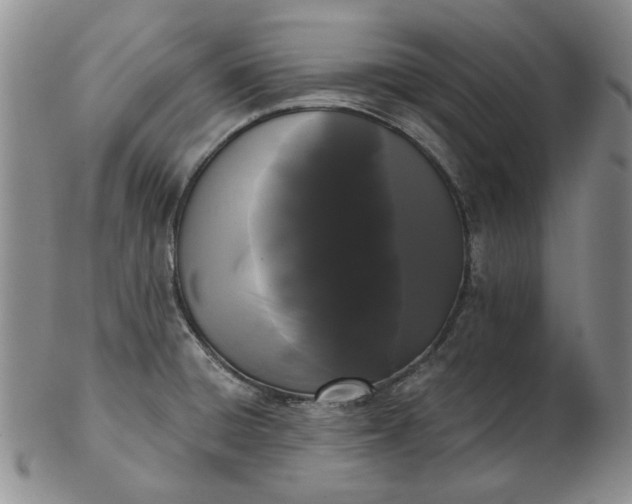 X0000103151428200809051627