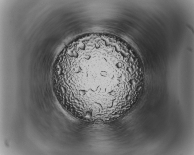 X0000103151429200809051627