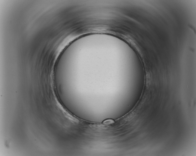 X0000103151432200809051627