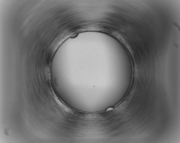 X0000103151433200809051627