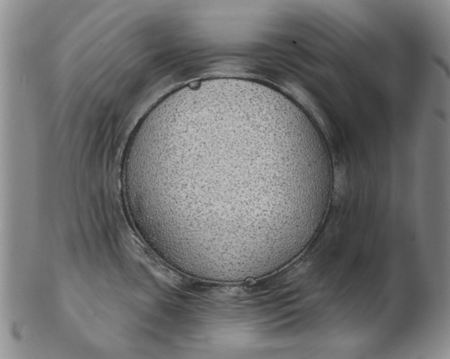 X0000103151435200809051627