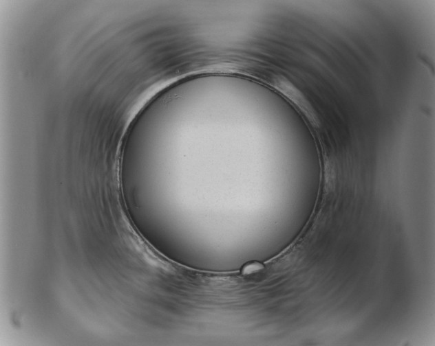 X0000103151436200809051627